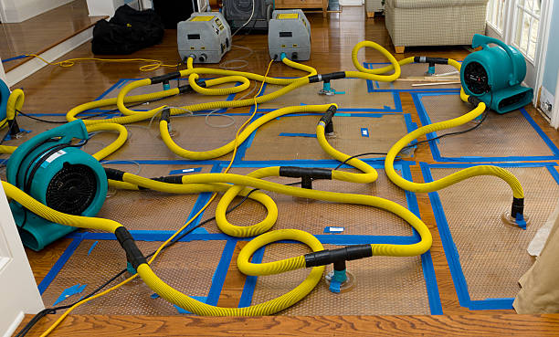 Professional Crawl Space Water Removal technician working in Springville, TN